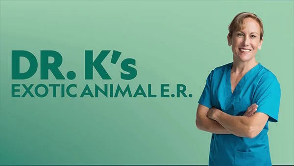 Title art for the reality TV show Dr. K’s Exotic Animal E.R.