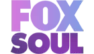 Fox Soul Network Logo