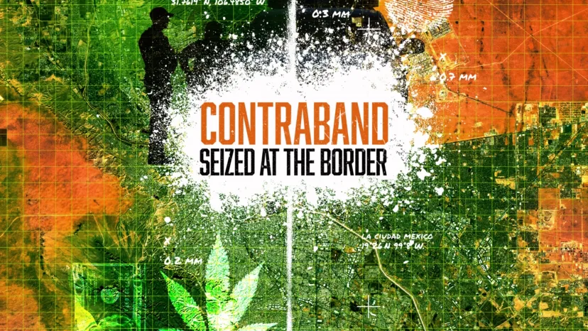 Contraband: Seized at the Border
