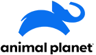 Animal Planet Network Logo