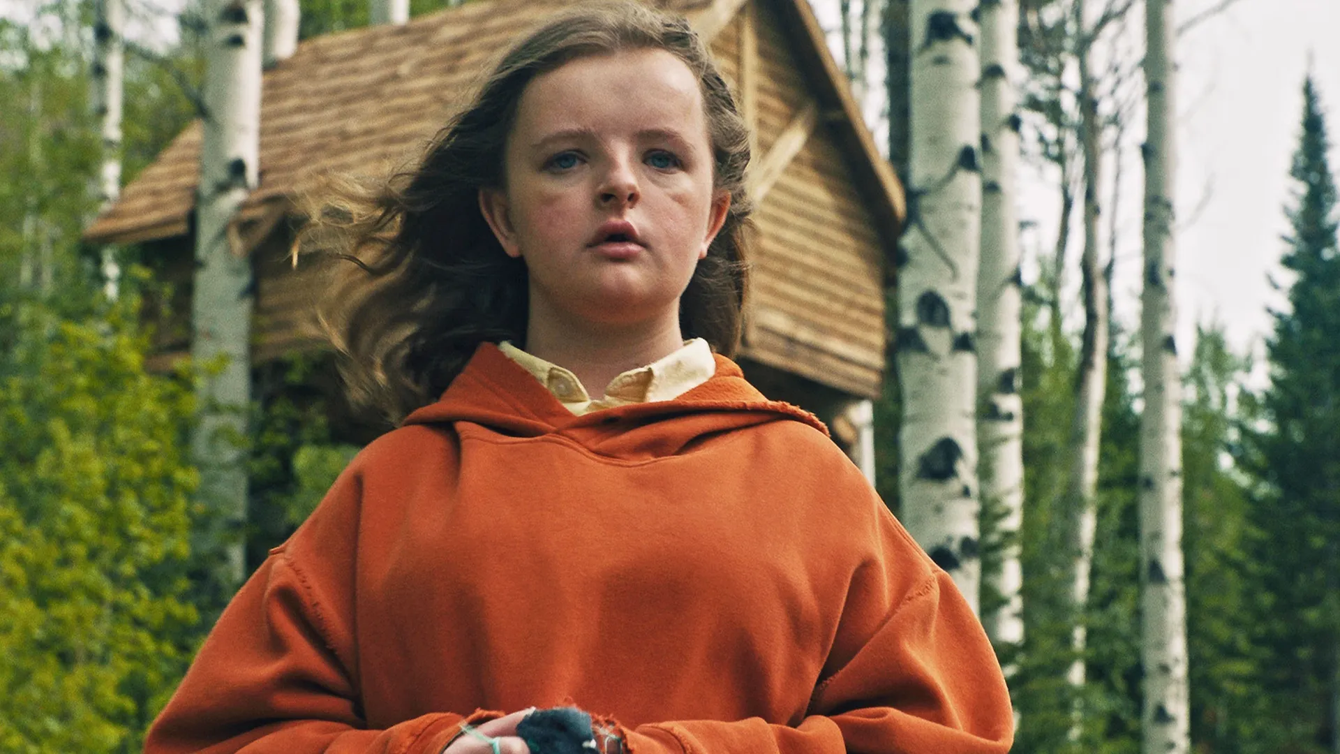  Hereditary, Hulu