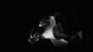 Close up of hands gripping a baseball bat