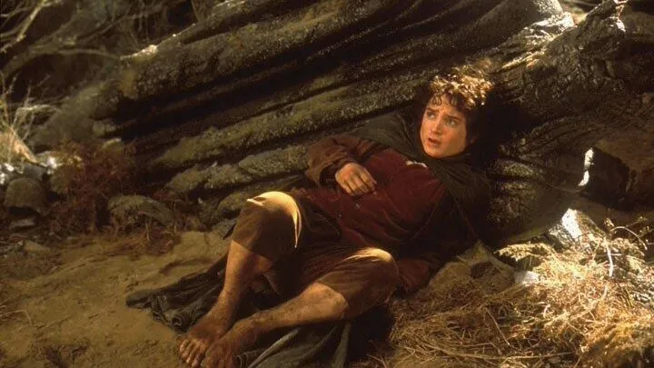 A still Image from The Lord of the Rings movie, The Fellowship of the Ring.